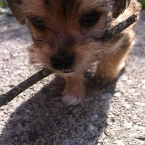 Meet your Posher, Madison